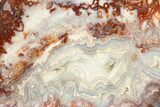 Polished Crazy Lace Agate Slab - Mexico #323867-2